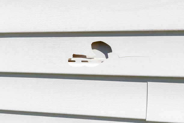 Best Stone Veneer Siding  in Tuckerton, NJ