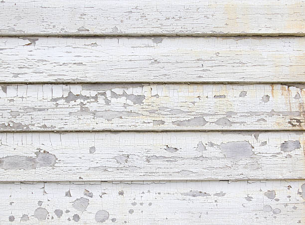 Best Residential Vinyl Siding Installation  in Tuckerton, NJ